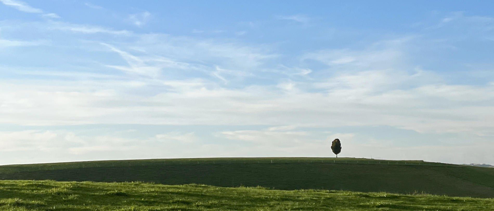 Einzelner Baum auf einem grünen Hügel unter weitem Himmel