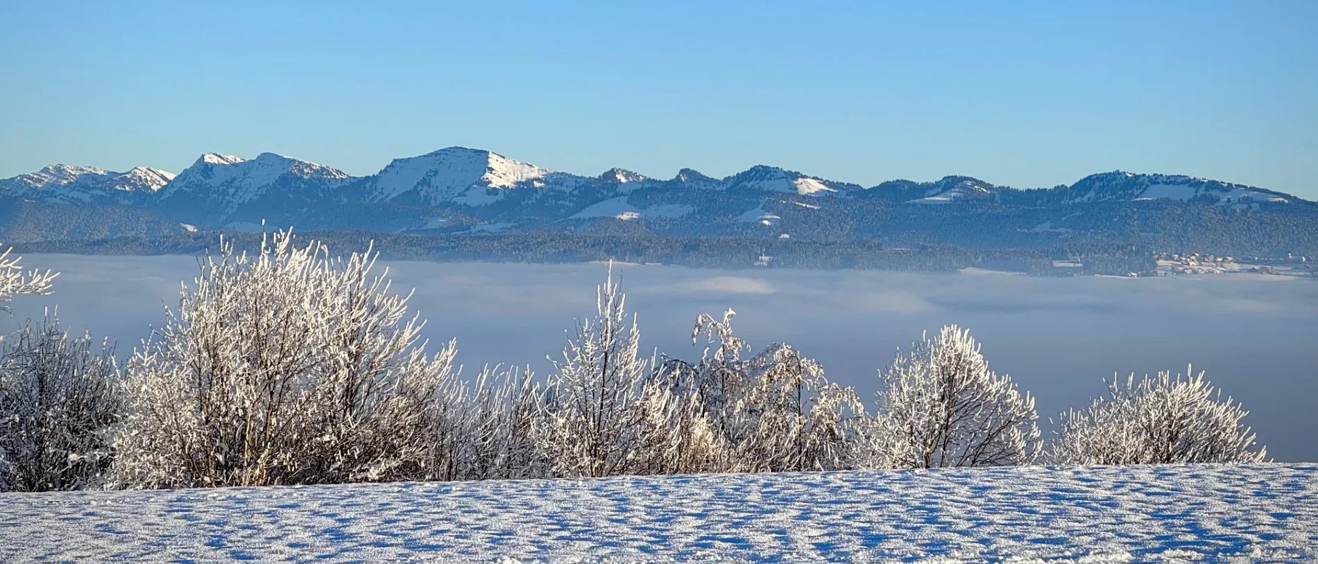 Nebelmeer über dem Bodensee, im Hintergrund die verschneiten Alpen